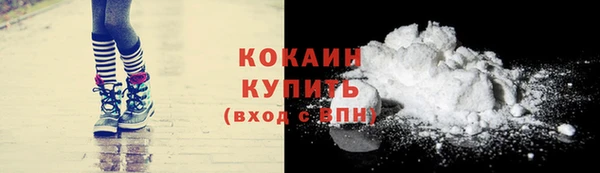 кокс Вяземский