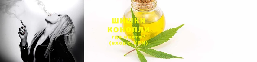 jwh Вязьма