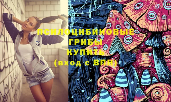 кокс Вяземский