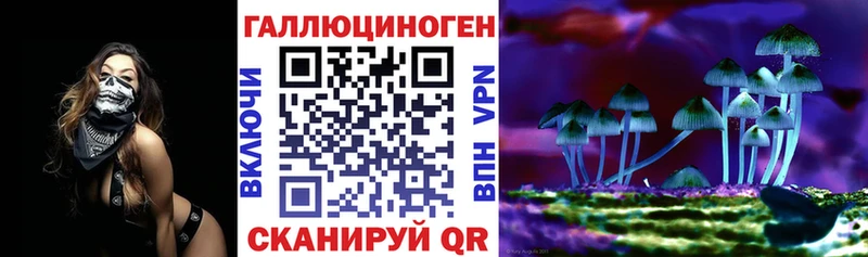 Галлюциногенные грибы GOLDEN TEACHER  blacksprut сайт  Керчь 